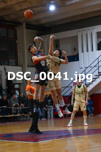 DSC 0041