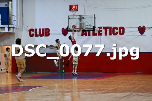DSC 0077