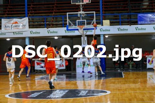 DSC 0202 (1)