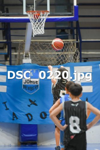DSC 0220