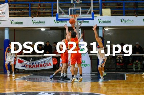 DSC 0231 (1)