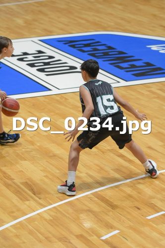 DSC 0234