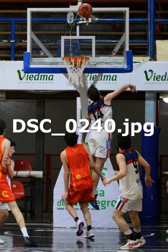 DSC 0240