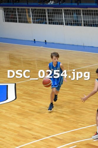 DSC 0254