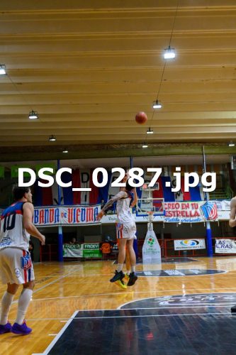 DSC 0287