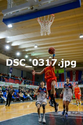 DSC 0317