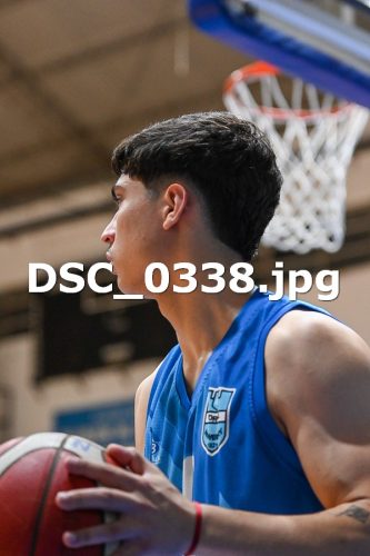 DSC 0338