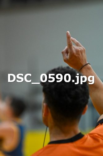 DSC 0590