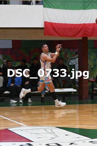 DSC 0733