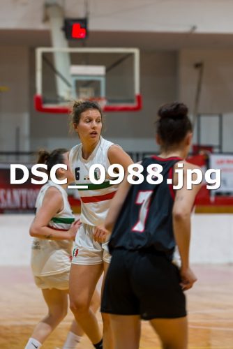 DSC 0988