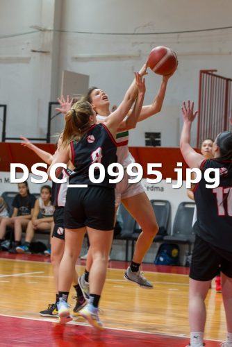 DSC 0995