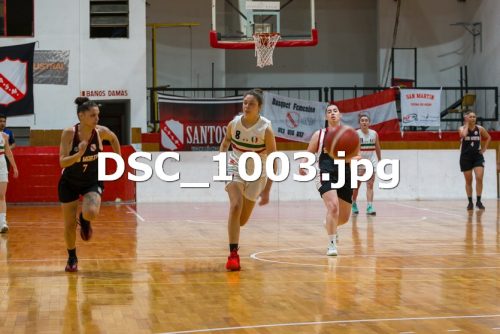 DSC 1003