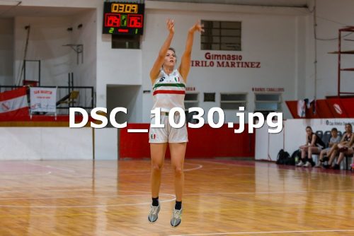 DSC 1030