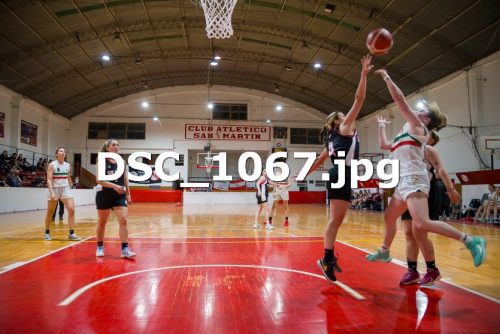 DSC 1067