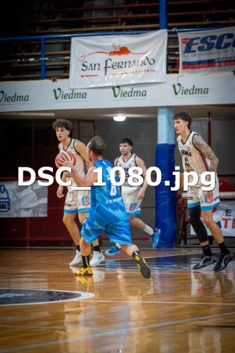 DSC 1080