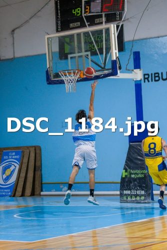 DSC 1184
