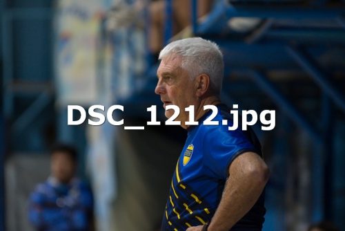 DSC 1212