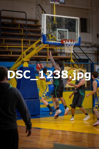 DSC 1238 (1)