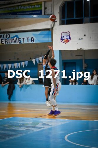DSC 1271 (1)