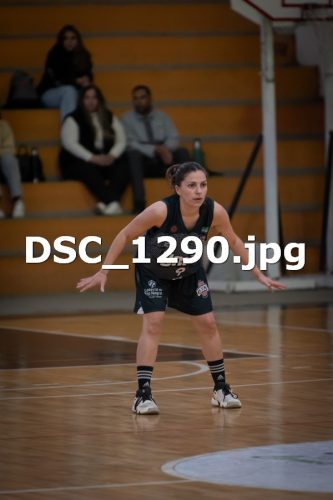 DSC 1290