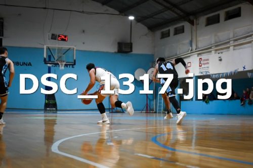 DSC 1317