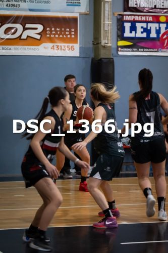 DSC 1366