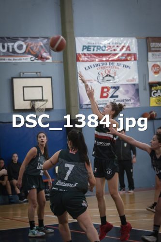 DSC 1384