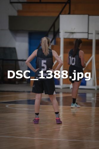 DSC 1388