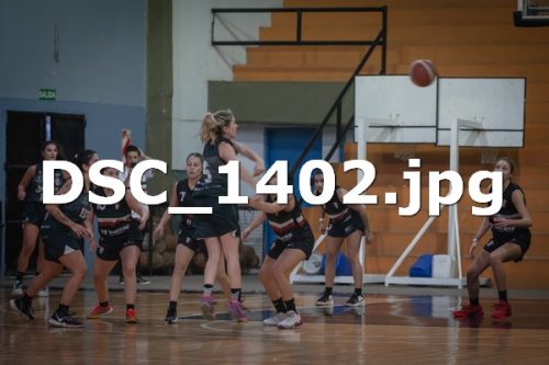 DSC 1402
