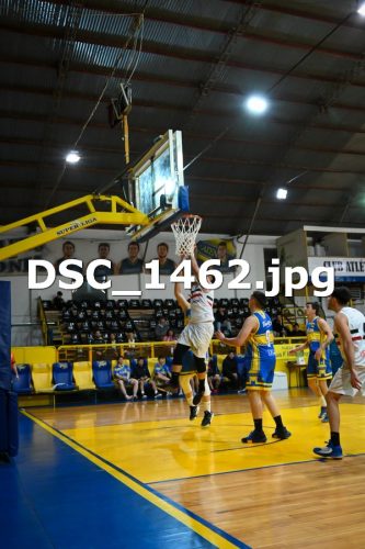 DSC 1462 (1)