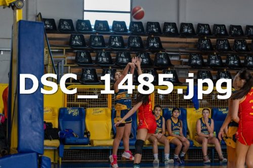 DSC 1485