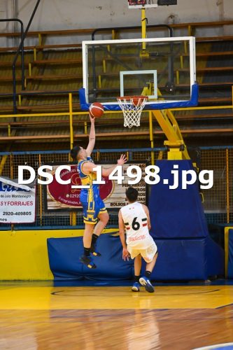 DSC 1498