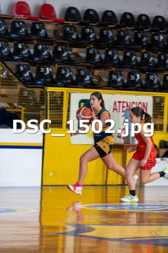 DSC 1502