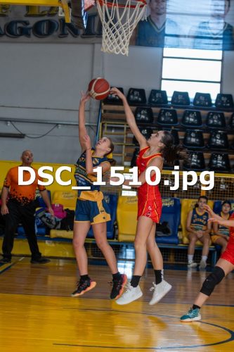 DSC 1510