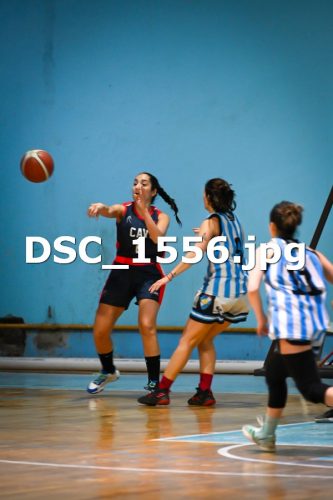 DSC 1556