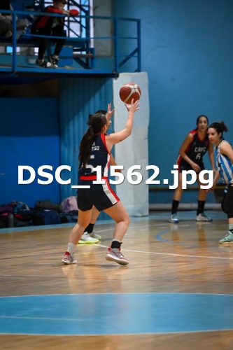 DSC 1562