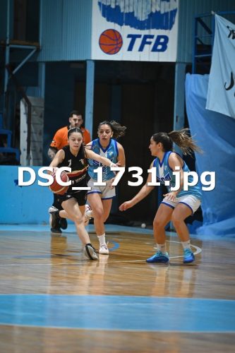DSC 1731