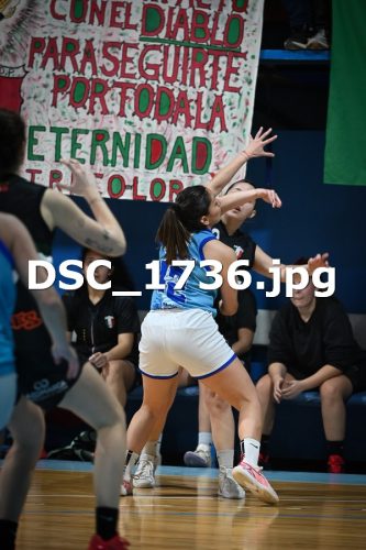 DSC 1736