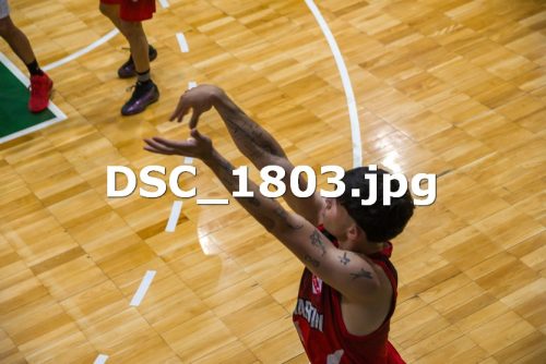 DSC 1803