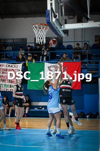 DSC 1871 (1)
