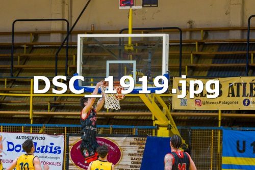 DSC 1919