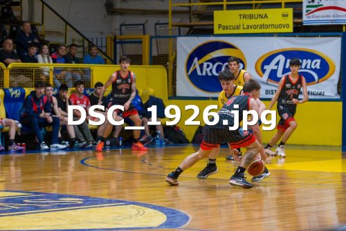 DSC 1926