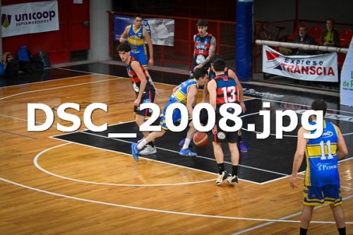 DSC 2008