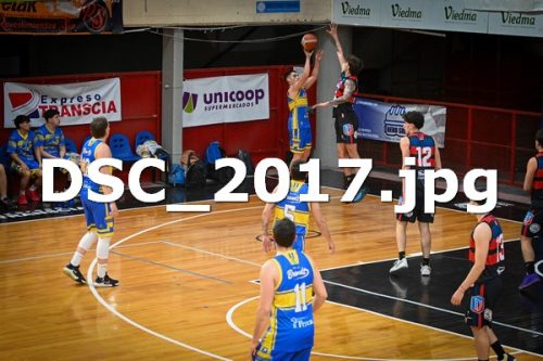 DSC 2017