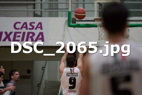 DSC 2065