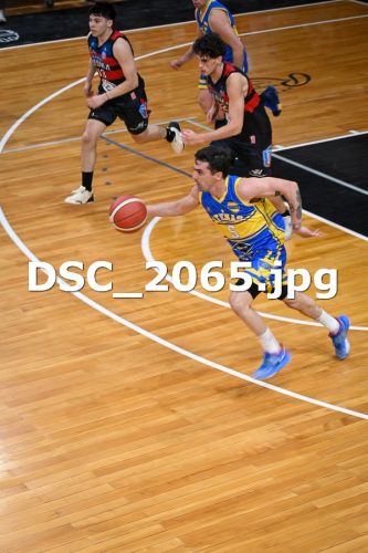 DSC 2065 (1)