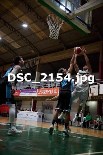 DSC 2154