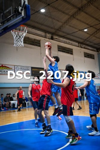 DSC 2207