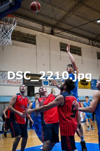 DSC 2210