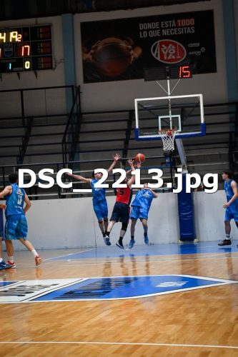 DSC 2213